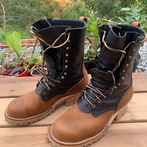 Nicks BuilderPro in 1964 Monarch & Seidel MaxSupport Black
