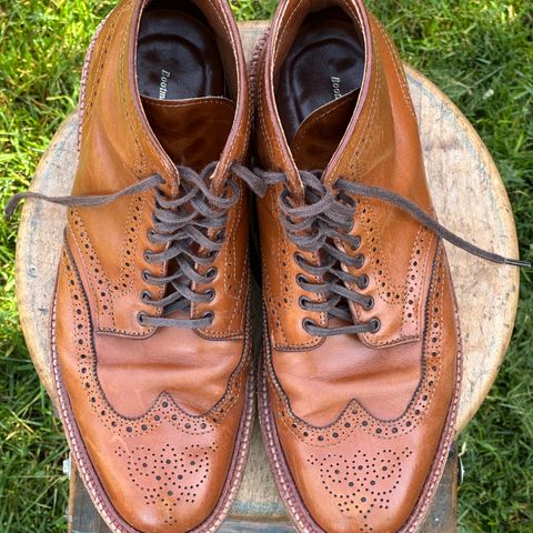 Alden Short Wing Boot in Dark Tan Calfskin