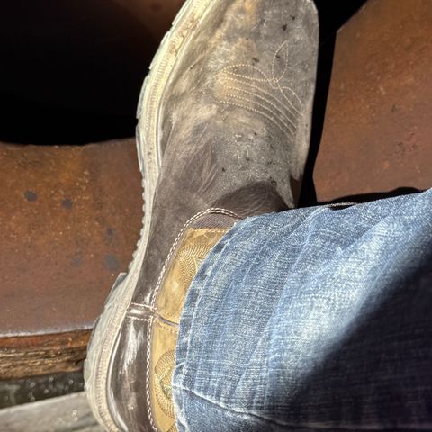Red Wing 2227 Rio Flex in S.B. Foot Black Boomer