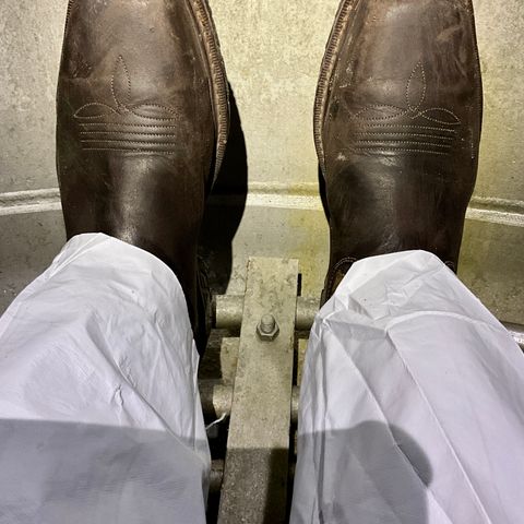 Red Wing 2227 Rio Flex in S.B. Foot Black Boomer