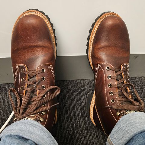 Canada West WM. Moorby 2816 in Pecan Tumbled