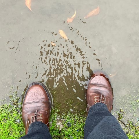 Grant Stone Cap Toe Boot in Horween Crimson Chromexcel