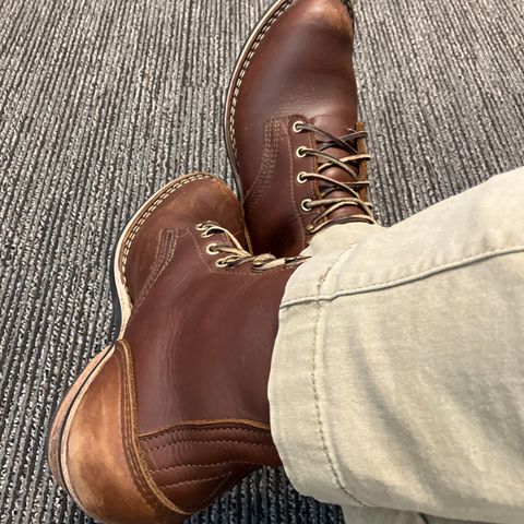 Nicks Packer in Seidel 1964 Brown