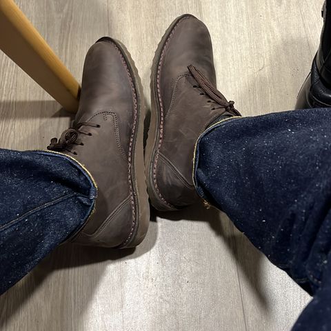 Jim Green Shoellie in Houston Brown