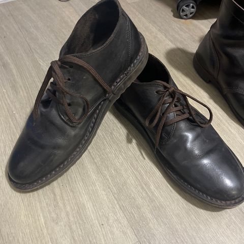 Jim Green Shoellie in Houston Brown