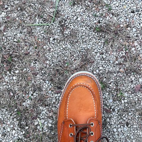 Red Wing 6-Inch Classic Moc in S.B. Foot Oro-Harness