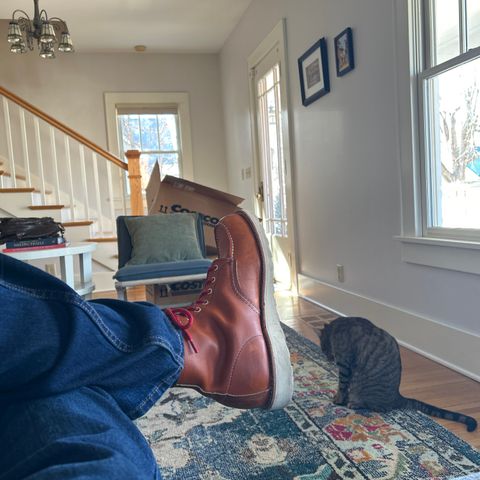 Red Wing 6-Inch Classic Moc in S.B. Foot Oro-Harness