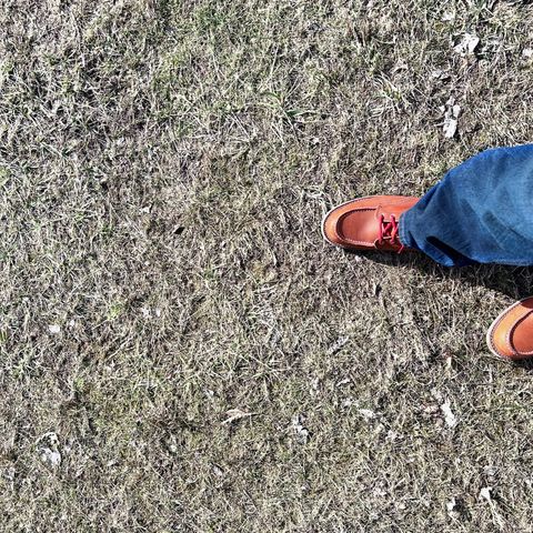 Red Wing 6-Inch Classic Moc in S.B. Foot Oro-Harness