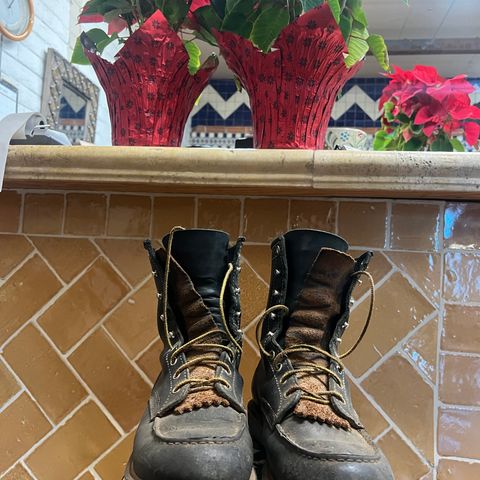 White's Perry 8" in Seidel Black Oil Tan