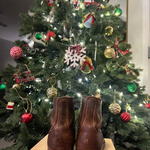 Red Wing Iron Ranger in S.B. Foot Copper Rough and Tough