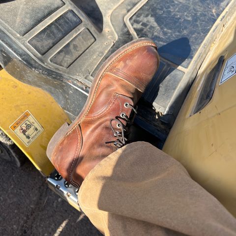 Red Wing Iron Ranger in S.B. Foot Copper Rough and Tough