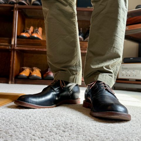 Viberg Derby Shoe in Black Calf