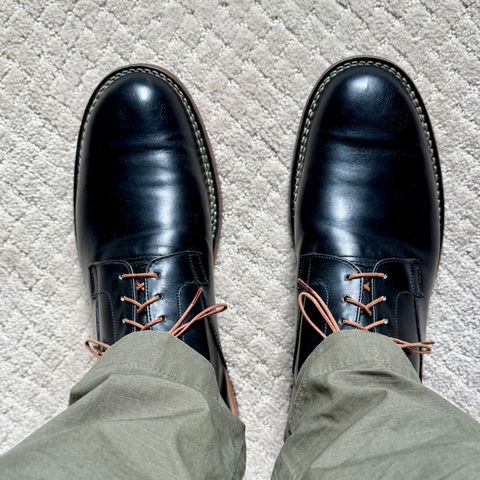 Viberg Derby Shoe in Black Calf