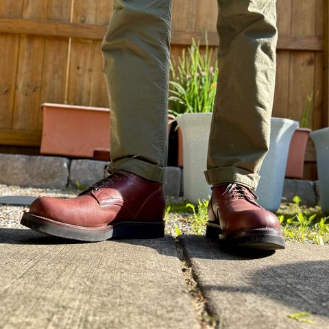 Viberg 145 Oxford in Maryam Burgundy Lucida Horsebutt