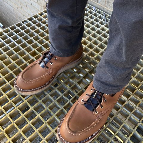Nicks Lace Up Work in Seidel 1964 Tan