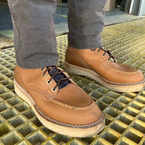Nicks Lace Up Work in Seidel 1964 Tan