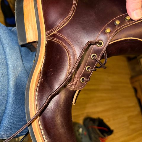 Frank's Wilshire in Seidel Brown Domain