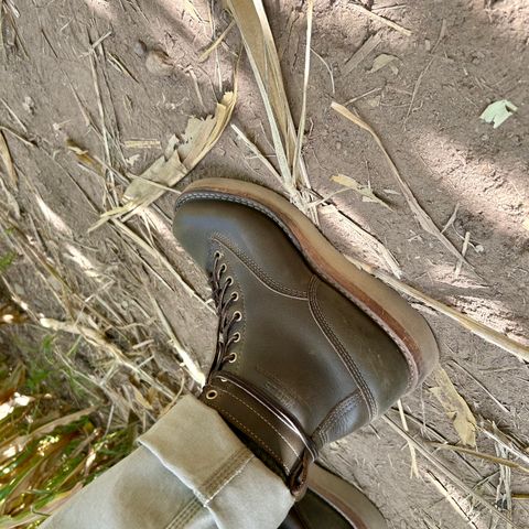 Whites Green Pasture Lace To Toe C350ltt-cs in Horween Greener Pastures Dublin