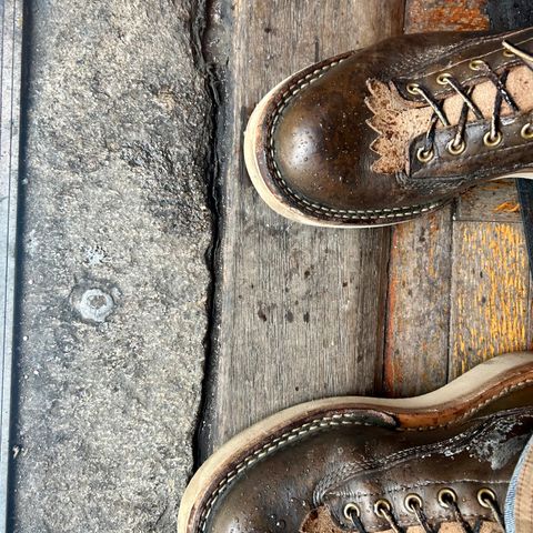 Whites Green Pasture Lace To Toe C350ltt-cs in Horween Greener Pastures Dublin