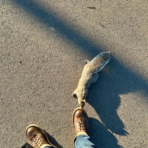 Whites Green Pasture Lace To Toe C350ltt-cs in Horween Greener Pastures Dublin