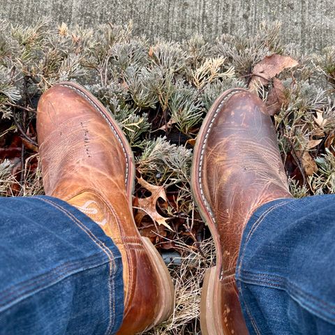 Double-H Unknown Model in Unknown Leather