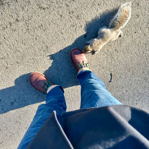 Jim Green African Ranger Barefoot Boot in African Buffalo Skin