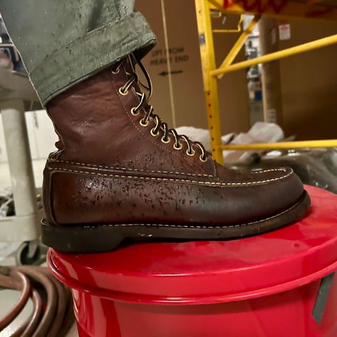 Russell Moccasin Bird Shooter in Brown Oil Tan