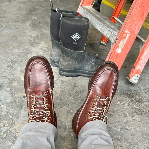 Russell Moccasin Bird Shooter in Brown Oil Tan