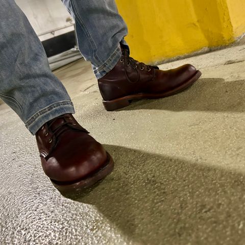 Chippewa Custom Model in Burgundy