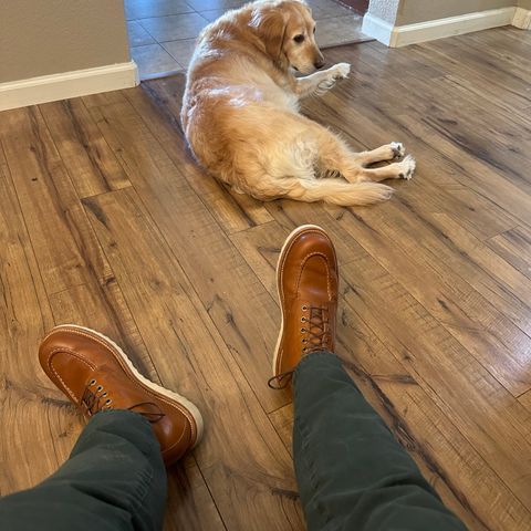 View photo of Grant Stone Brass Boot in Badalassi Carlo Saddle Tan Minerva