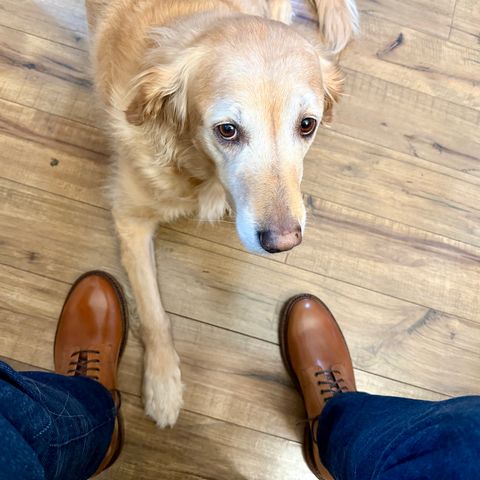 Search result thumbnail of Grant Stone Edward Boot in Horween Honey Glazed Shell Cordovan