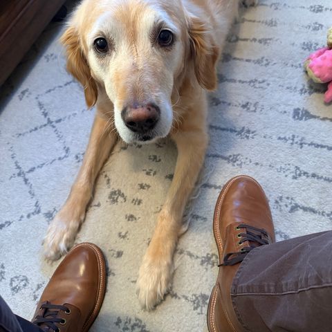 View photo of Grant Stone Diesel Boot in Horween Dune Chromexcel