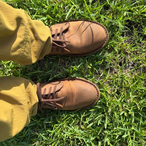 Jim Green Shoellie in Fudge Nubuck