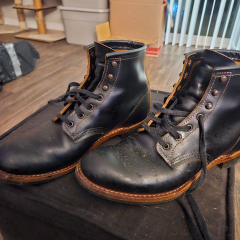 Red Wing Beckman Flatbox in S.B. Foot Black Klondike
