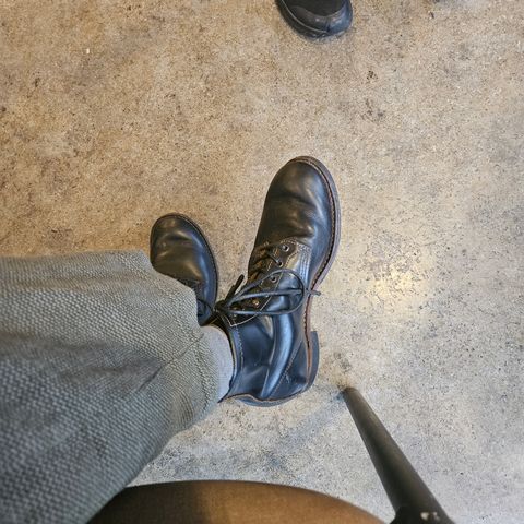 Red Wing Beckman Flatbox in S.B. Foot Black Klondike