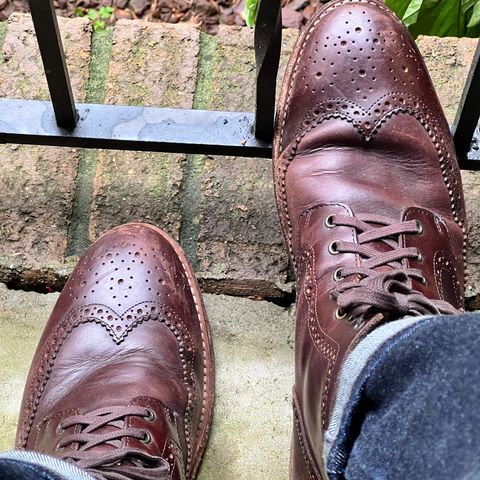 Thursday Wingtip in Unknown Leather