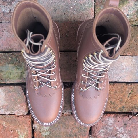 Nicks Ranger in Seidel 1964 Brown