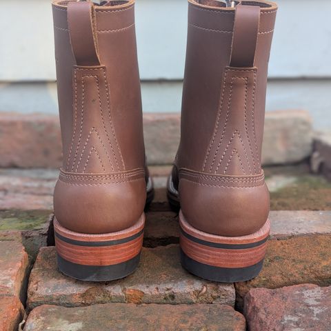 Nicks Ranger in Seidel 1964 Brown
