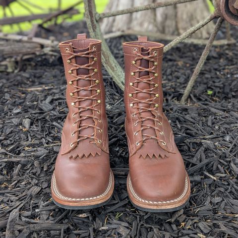 Nicks Ranger in Seidel 1964 Brown