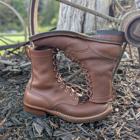 Nicks Ranger in Seidel 1964 Brown Smooth