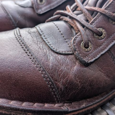 Jim Green African Ranger in African Buffalo Skin