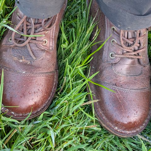 Jim Green African Ranger in African Buffalo Skin