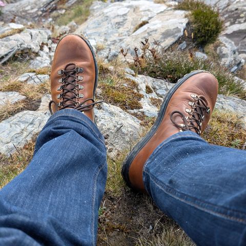 Crown Northampton Everdon in Horween Sunflower Chromexcel