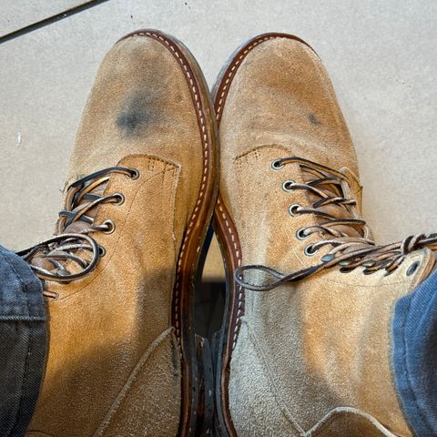 Truman Upland Boot in Wooly Bully Roughout