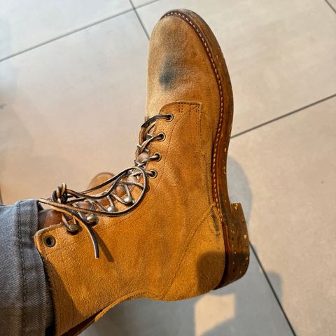 Truman Upland Boot in Wooly Bully Roughout