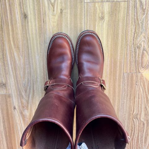 Nicks StationMaster in Seidel 64 Brown Double Shot