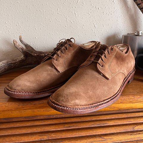 Alden Plain Toe Derby in Snuff Suede