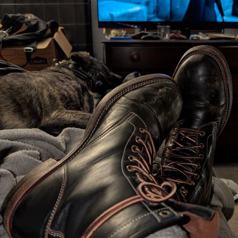 Jakkrabbits Custom Model in Shinki Black Antique Horsehide