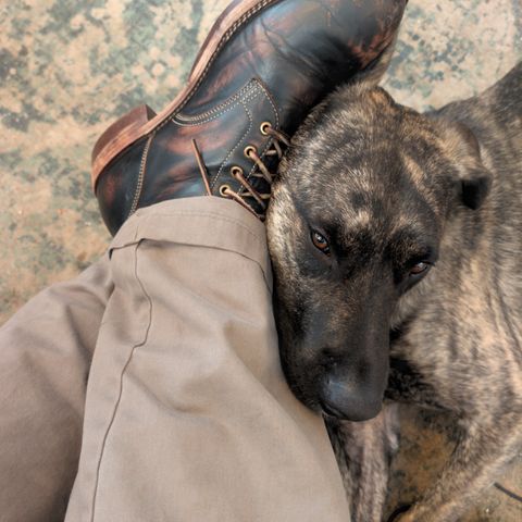 Jakkrabbits Custom Model in Shinki Black Antique Horsehide