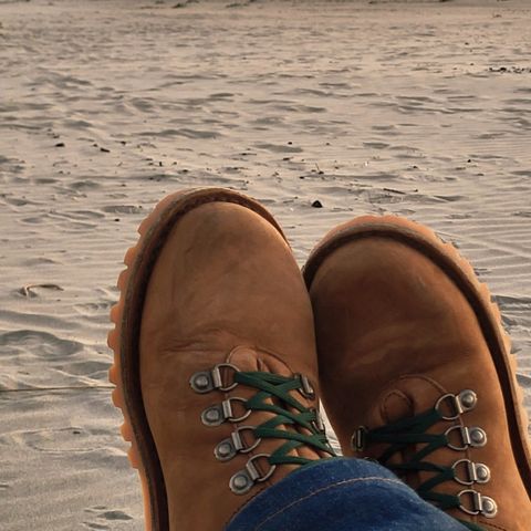 Jim Green Razorback in Fudge Crazy Horse